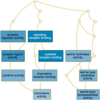 Host Factor Interaction Networks Identified by Integrative Bioinformatics Analysis Reveals Therapeutic Implications in COPD Patients With COVID-19